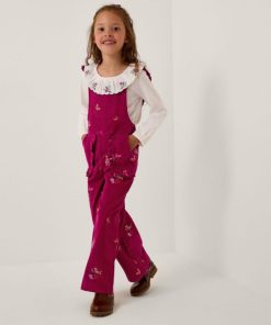 Steadydose.shop00e2fdc23e 1