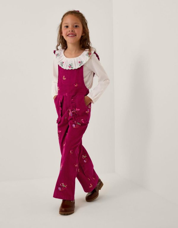 Steadydose.shop00e2fdc23e 1