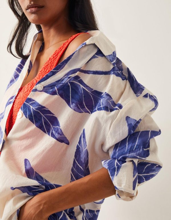 Steadydose.shop05208e3cd2 4