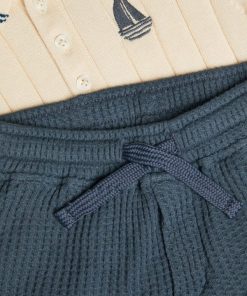 Steadydose.shop179205b630 3