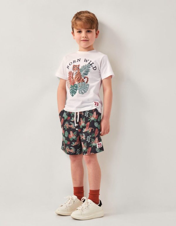 Steadydose.shop1927d6edc2 1