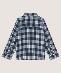 Steadydose.shop1c31549dd5 2