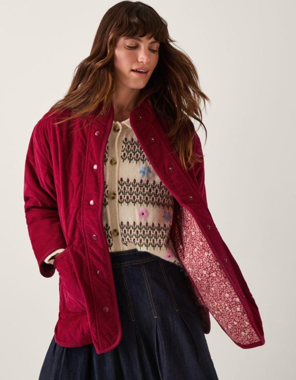 Steadydose.shop21c2062648 1