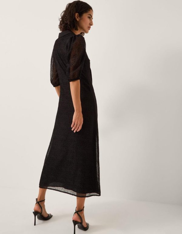 Steadydose.shop2d1cfe0715 3