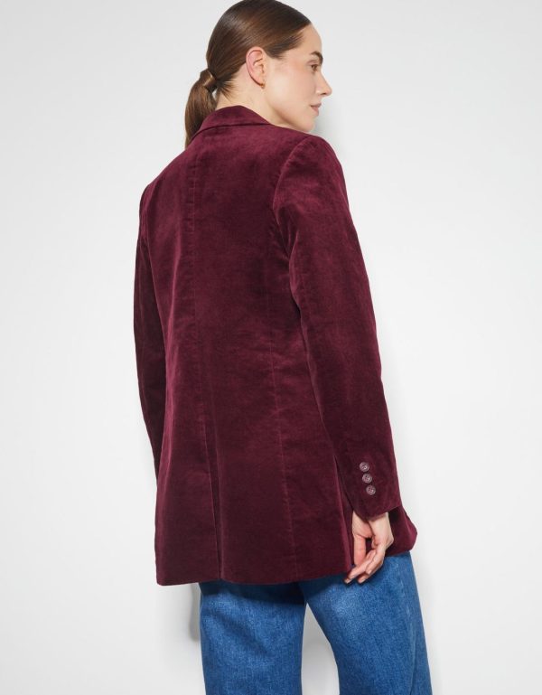 Steadydose.shop41d2663826 4