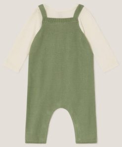 Steadydose.shop56cf0782d4 2