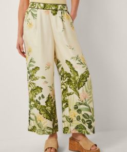 Steadydose.shop6742fcaefb 4