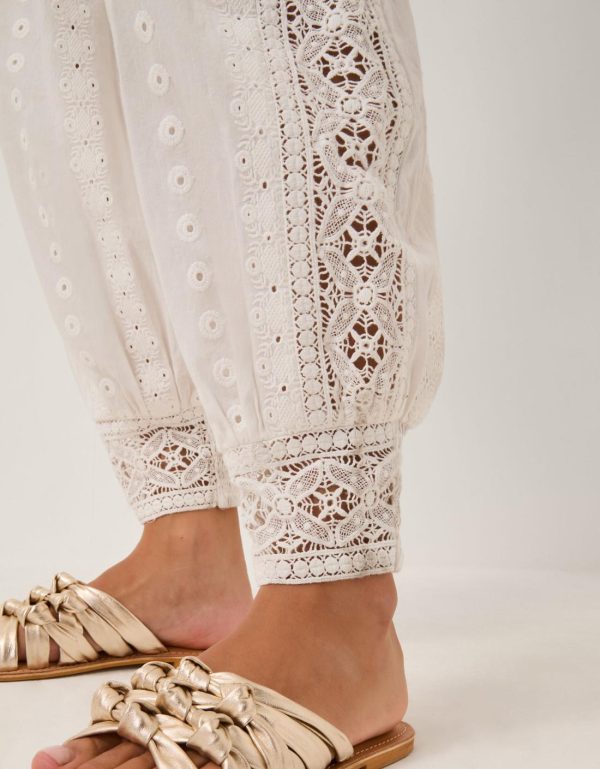 Steadydose.shop680308524e 2