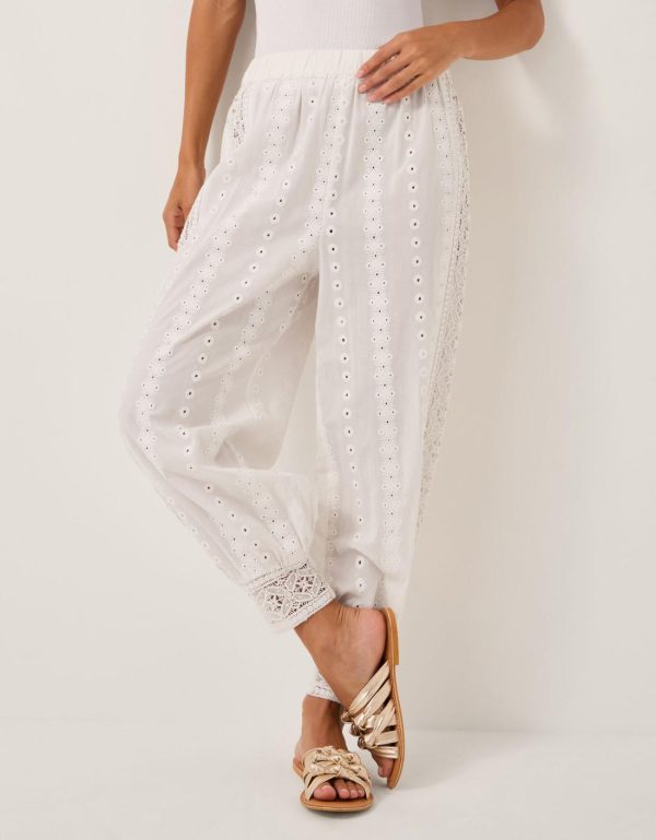 Steadydose.shop680308524e 3