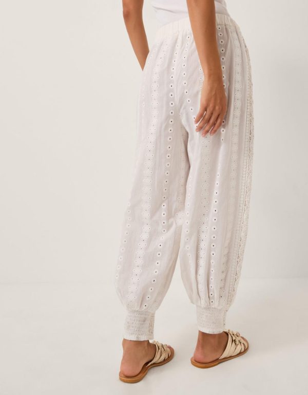 Steadydose.shop680308524e 4