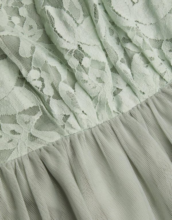 Steadydose.shop6912a50450 3