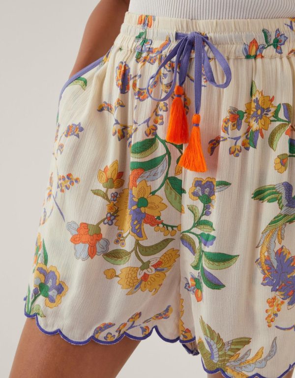 Steadydose.shop793b30b77e 3