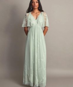 Steadydose.shop7b1c3e3f17 1