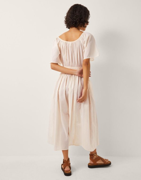 Steadydose.shop7cbd1ae5e1 5