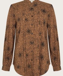 Steadydose.shop7f90154336 5