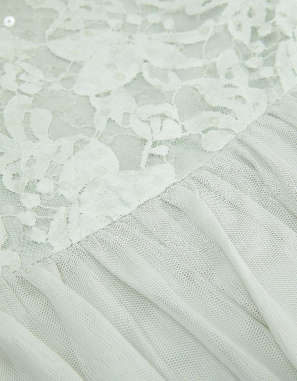 Steadydose.shop8c0277336a 4