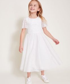 Steadydose.shop97c27acc7f 1