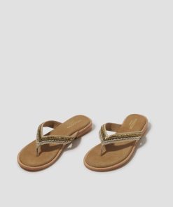 Steadydose.shop9cf5b0d5ac 1