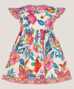 Steadydose.shopab0943a897 2