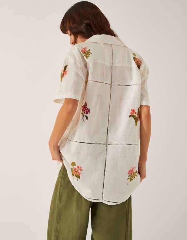 Steadydose.shopad3e6d9b36 3