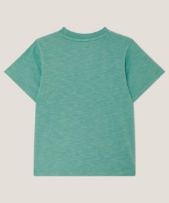 Steadydose.shopaed2cd138a 2