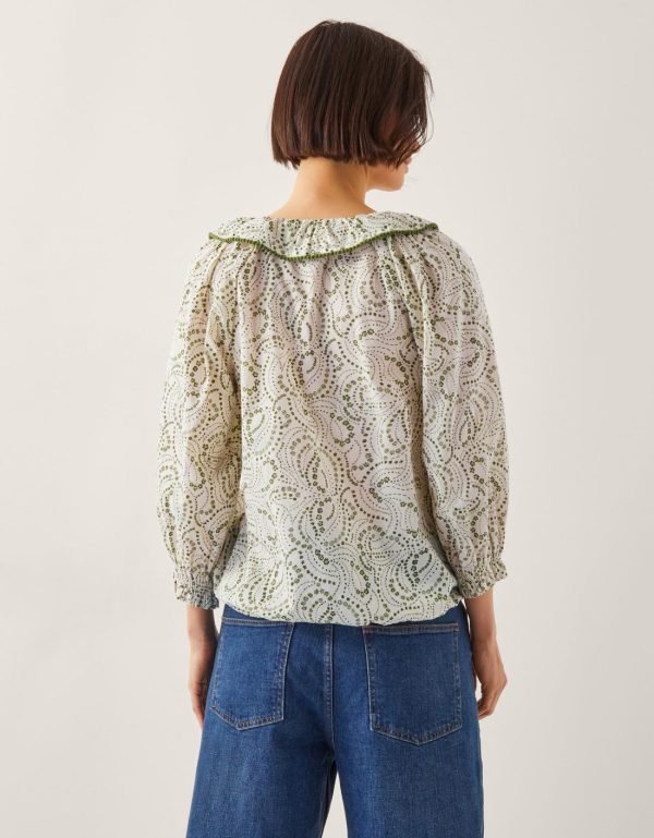 Steadydose.shopbbfdf41493 3