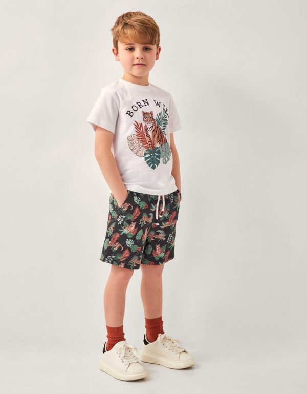 Steadydose.shopbfa5fc051a 1