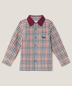 Steadydose.shopc410e79df5 1