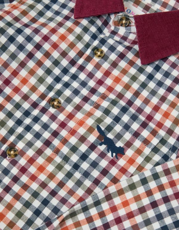 Steadydose.shopc410e79df5 3