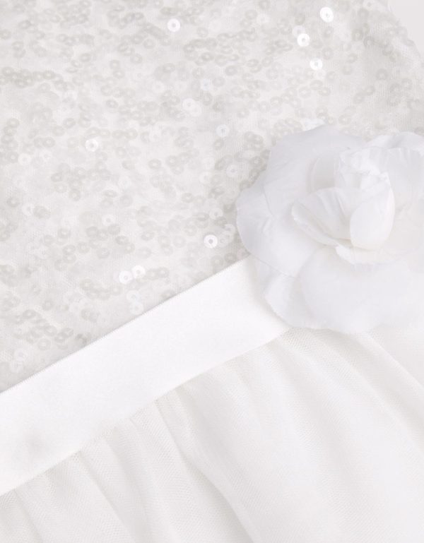 Steadydose.shopc87fcdd222 5