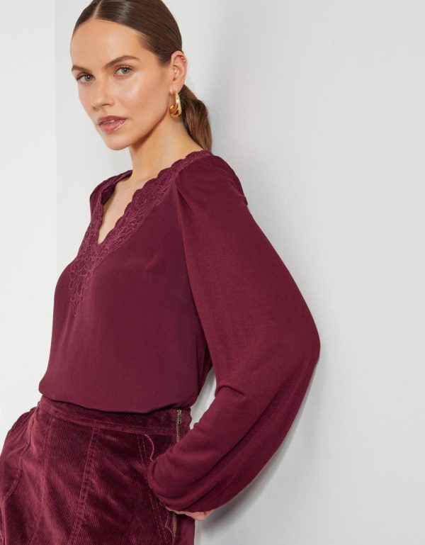 Steadydose.shopc8aa86f619 1