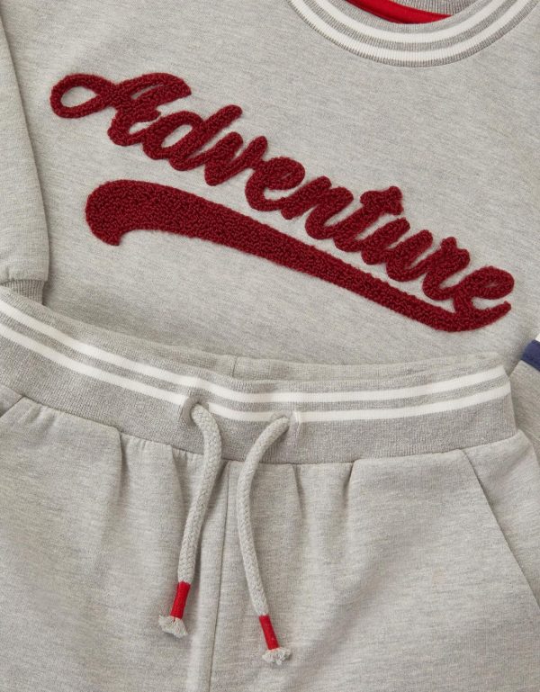 Steadydose.shopcc923cabd3 4