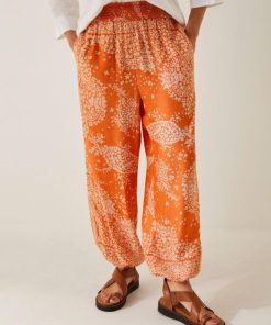 Steadydose.shope1157aeaff 2