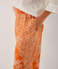 Steadydose.shope1157aeaff 3