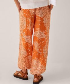 Steadydose.shope1157aeaff 4