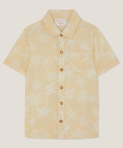 Steadydose.shope6968e97d1 1