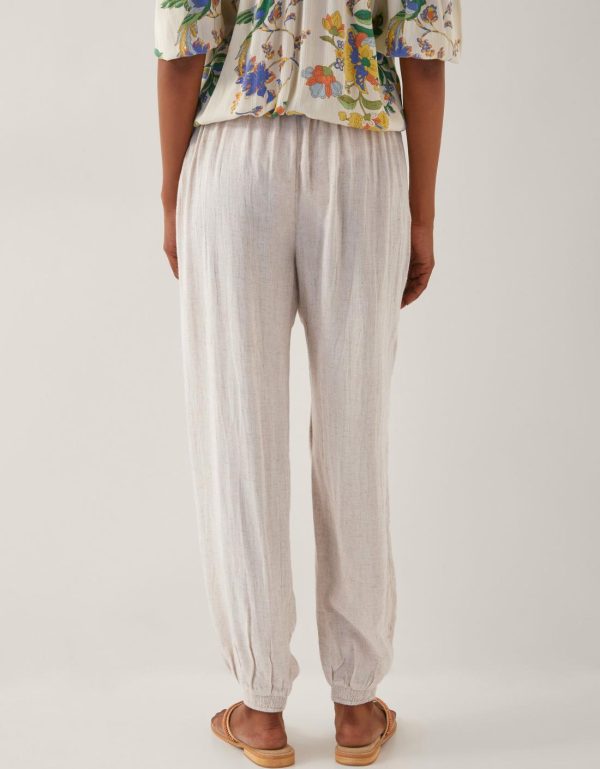 Steadydose.shopf2777266b2 4