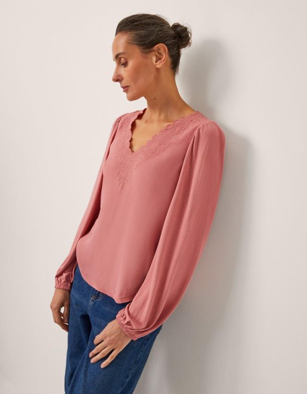 Steadydose.shopf491ab547c 4